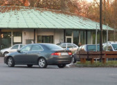 Problema Parcheggi San Felice - dichiarazioni Santina Bosco