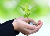 Contributo Golfo Agricolo Segrate